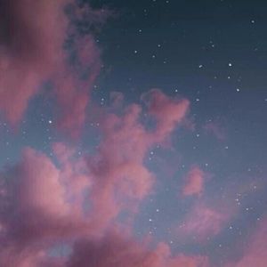 Meet your Posher, Kylee